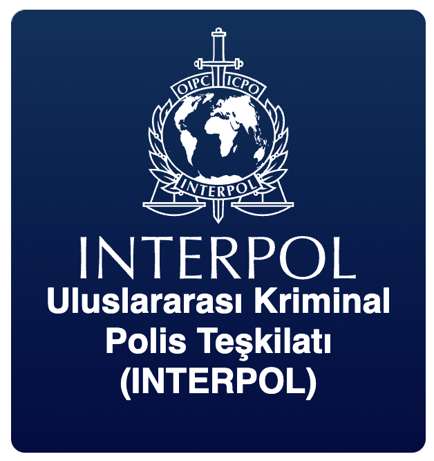 Logo 2